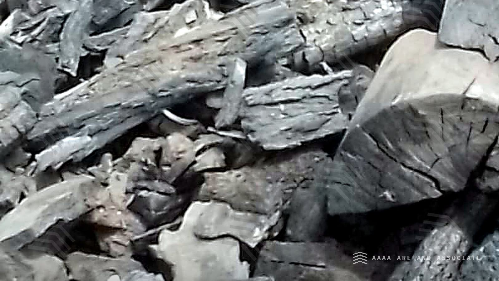 Close view of hardwood lump charcoal showing dense, clean-fractured pieces with visible grain and end checks