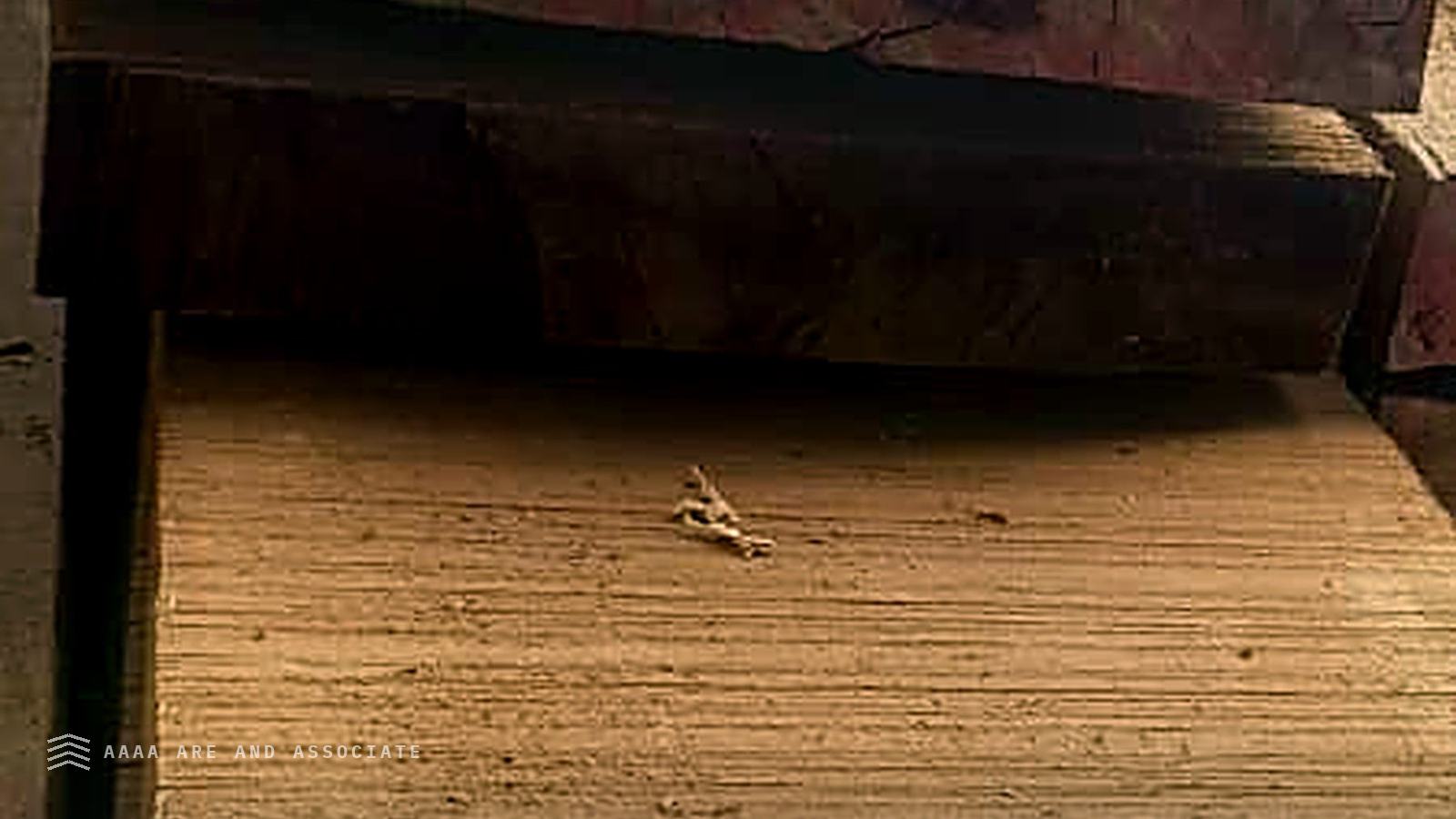Close view of the freshly sawn face and end grain of heavy hardwood baulks stacked at a Nigerian conversion yard