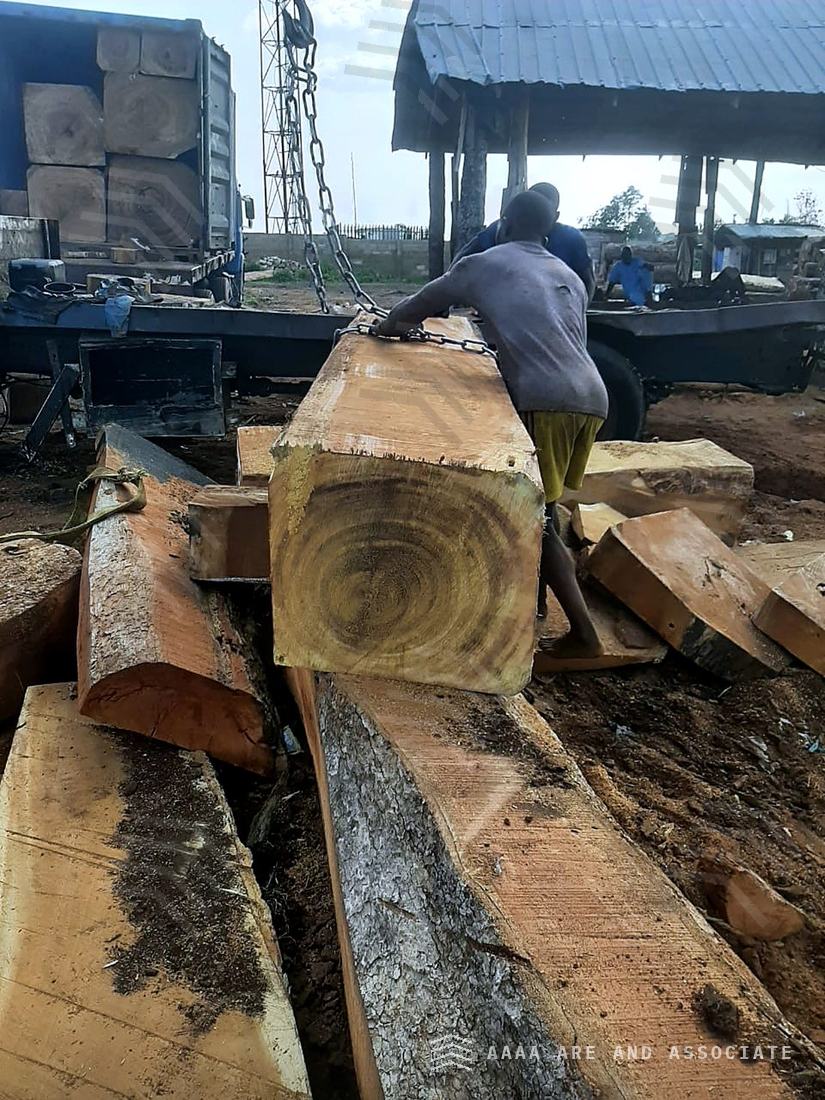 Yard crew chaining a large squared hardwood baulk to a crane hook for loading, surrounded by hewn beams at a Nigerian timber yard