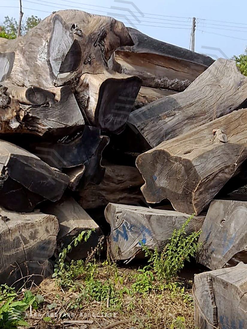 Open-air stock holding of dense hardwood logs and part-hewn sections at the AARE Commodities yard, Nigeria