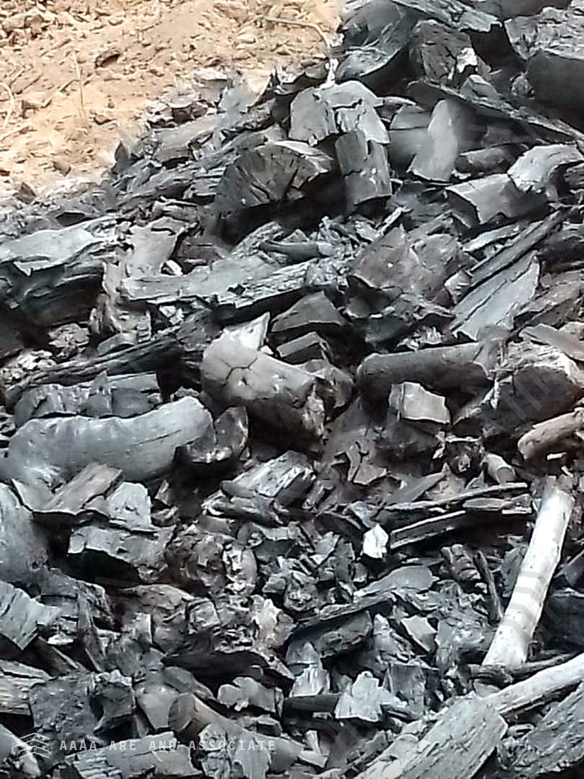 Heap of hardwood lump charcoal in varied piece sizes at a production site in Nigeria